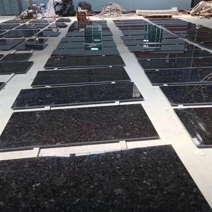 Labrador Black